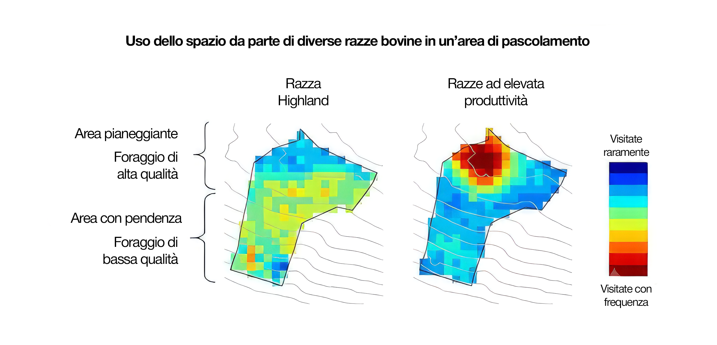 Le razze da servizio: quando produrre meno significa fare di più